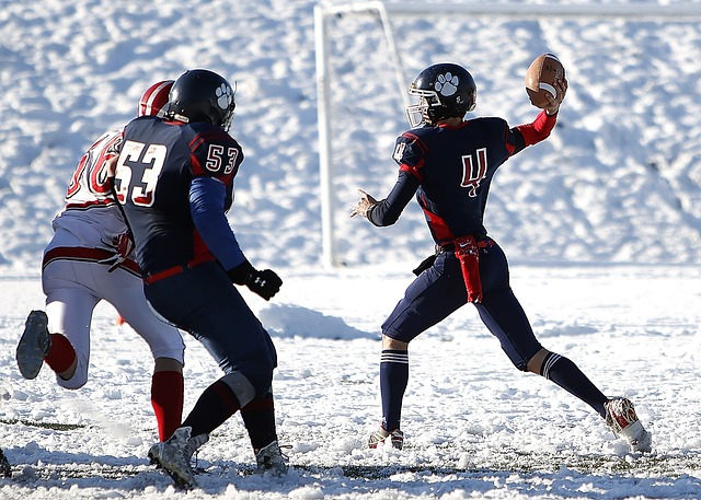 疑是理想的 疑是理想的