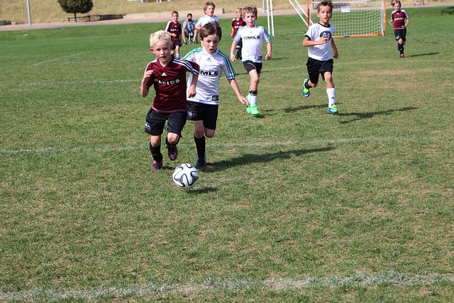 巴萨前腰佩 巴萨前腰佩