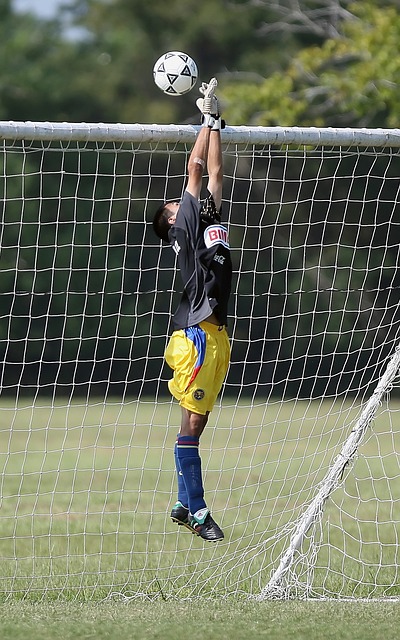 步登顶的又 步登顶的又