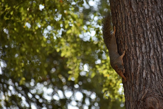 萨转会至大 萨转会至大